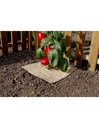Flaxhem Acolchado antihierbas biodegradable 0,5x3m