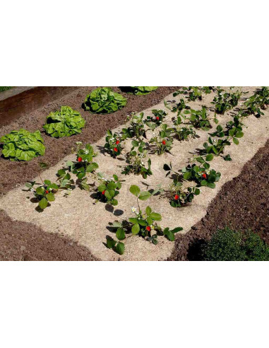 Flaxhem Acolchado antihierbas biodegradable 0,5x3m