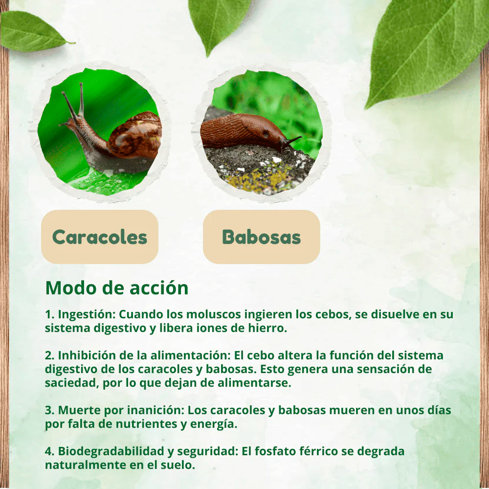 Antilimacos y caracoles Doff 500g