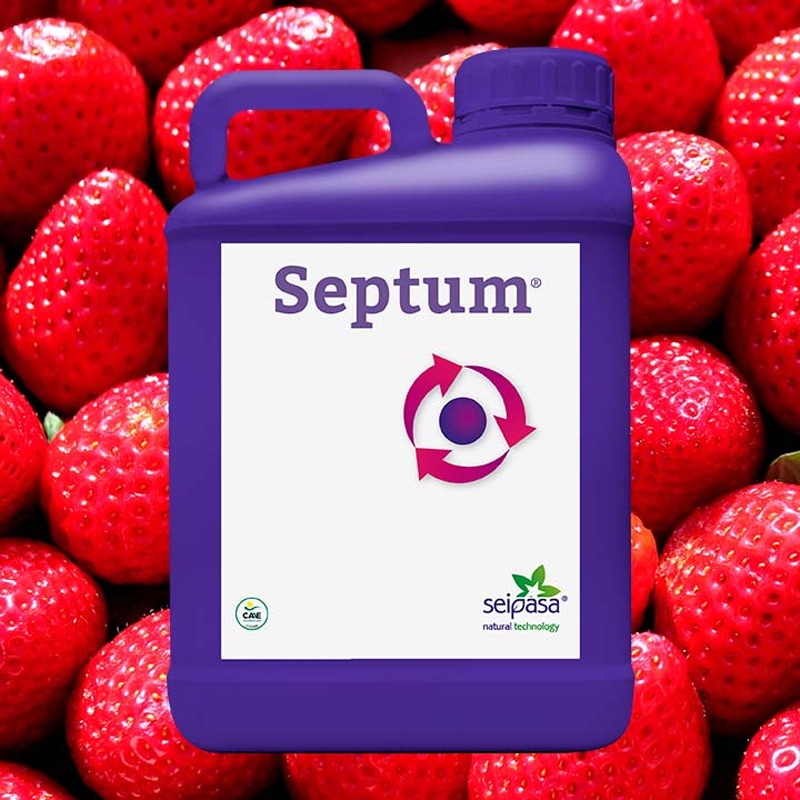 Septum: Cola de Caballo y su función fungicida en la agricultura.