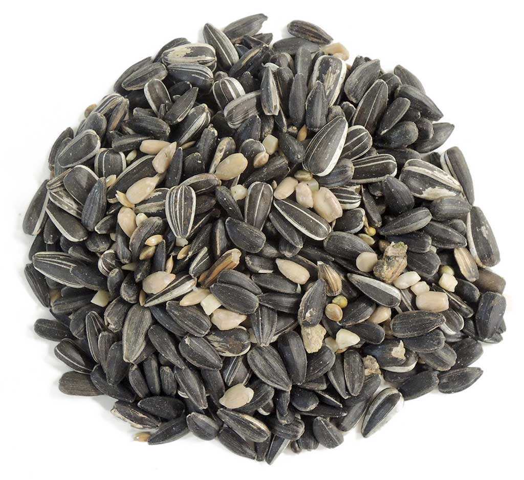 GRANA-A Bolsa de mezcla de semillas con pipa con cáscara. Alimento para aves silvestres 700 g