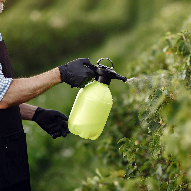 Insecticidas ecológicos: la alternativa a los productos tóxicos.