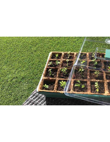 Invernadero pequeño para germinado de semillas