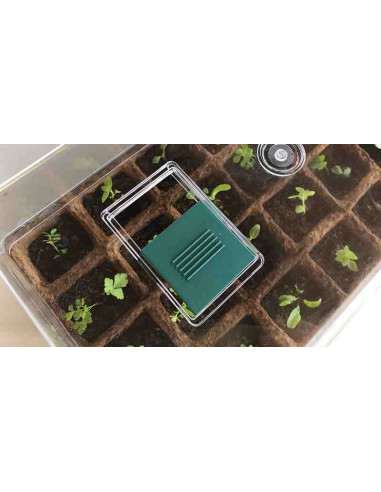 Invernadero pequeño para germinado de semillas