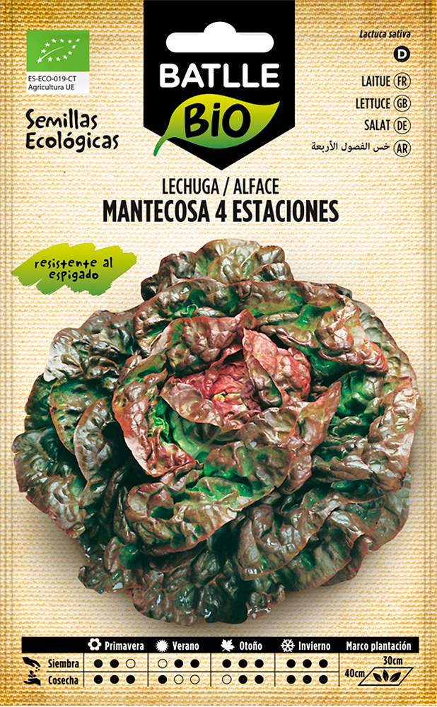 Semillas ecológicas de lechuga mantecosa 4 estaciones 