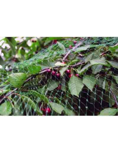 Malla de protección contra pájaros 2x5m Birdnet