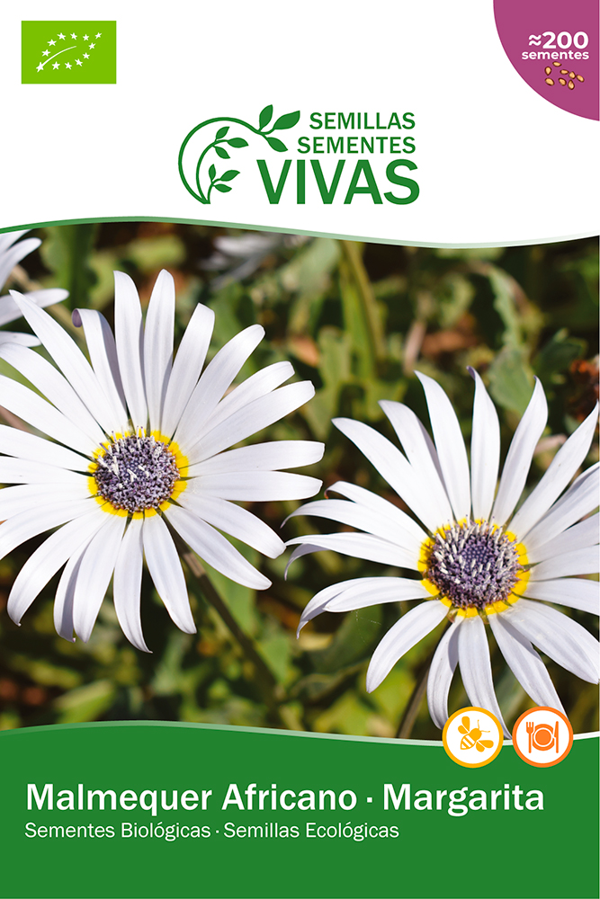 Semillas ecológicas de Margarita Africana