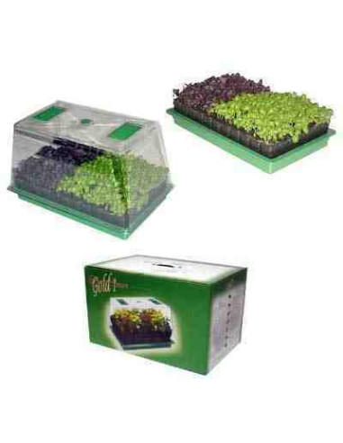 Mini invernadero Green House