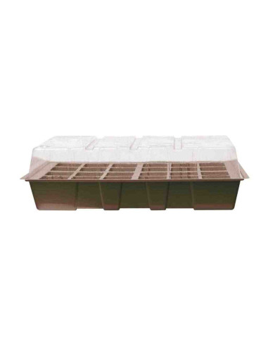 Mini invernadero Kit planting