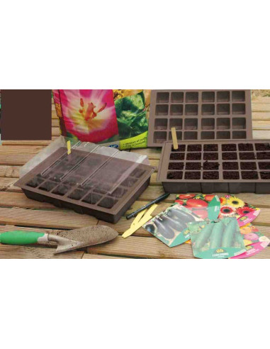 Mini invernadero Kit planting