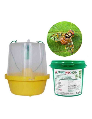Mosquero + 50 pastillas Ceratinex contra la mosca de la fruta