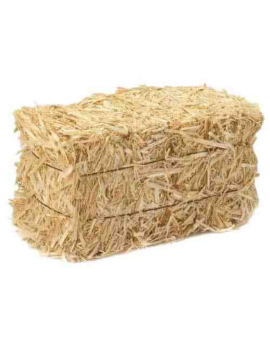 Paca de paja de 18-20kg 1