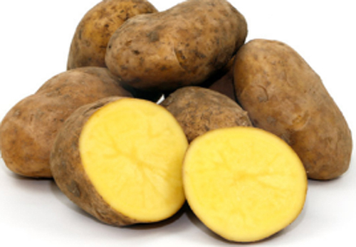 Patata ecológica Agria para siembra 5kg 1