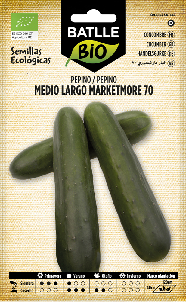Semillas ecológicas de pepino medio largo Marketmore 70