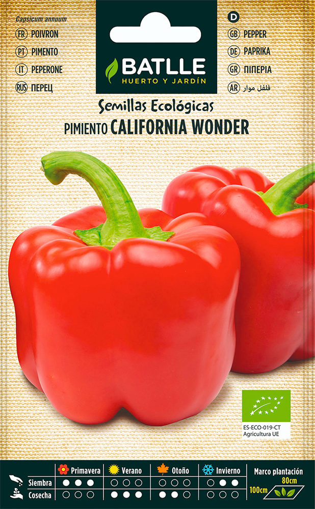 Semillas ecológicas de Pimiento California Wonder