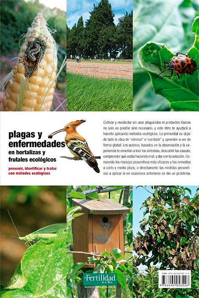 Plagas y enfermedades en hortalizas y frutales ecológicos
