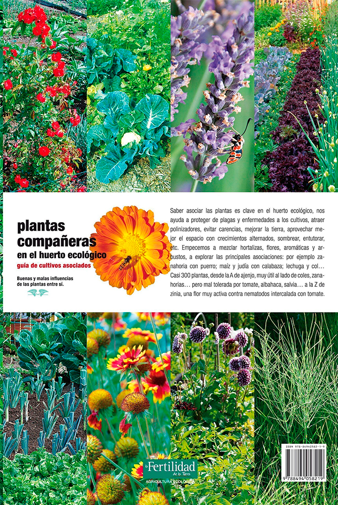 Plantas compañeras en el huerto ecológico