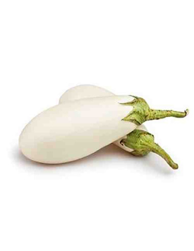 Plantel bio de berenjena blanca larga 6 unid. 