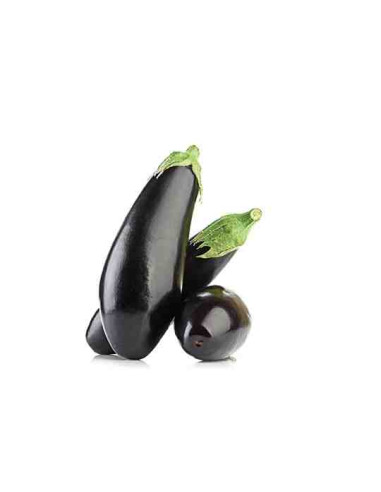 Plantel bio de berenjena negra larga 6 unid.