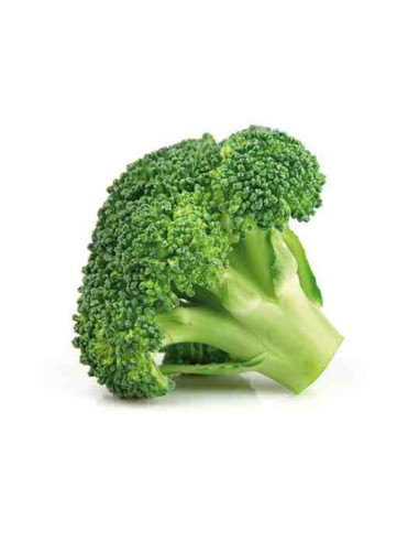 Plantel bio de brocoli 6 unid.
