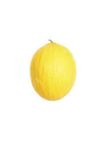 Plantel bio de melón amarillo 6 unid.