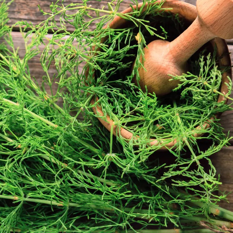Remedios naturales para el huerto ecológico