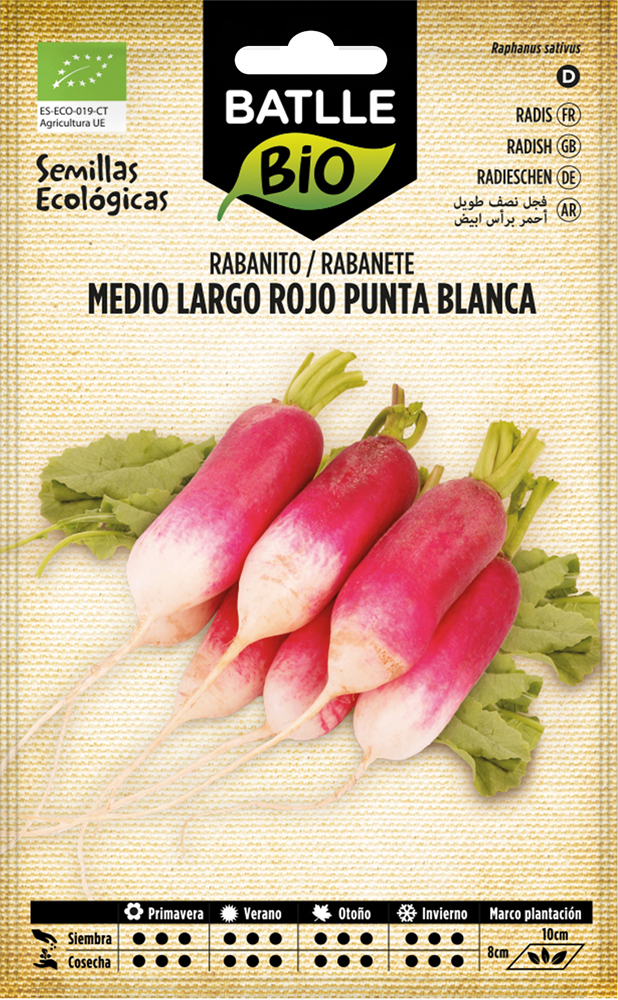 Semillas ecológicas de rabanito largo rojo punta blanca