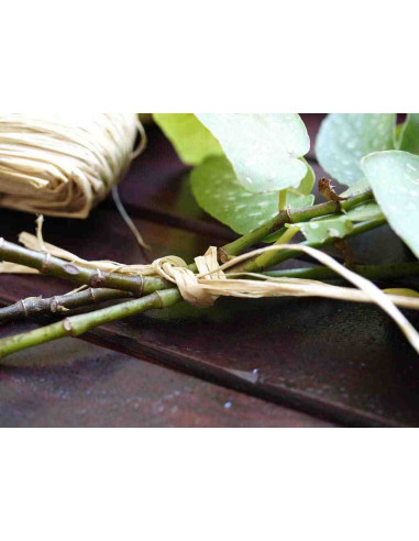 Rafia natural 150g 2