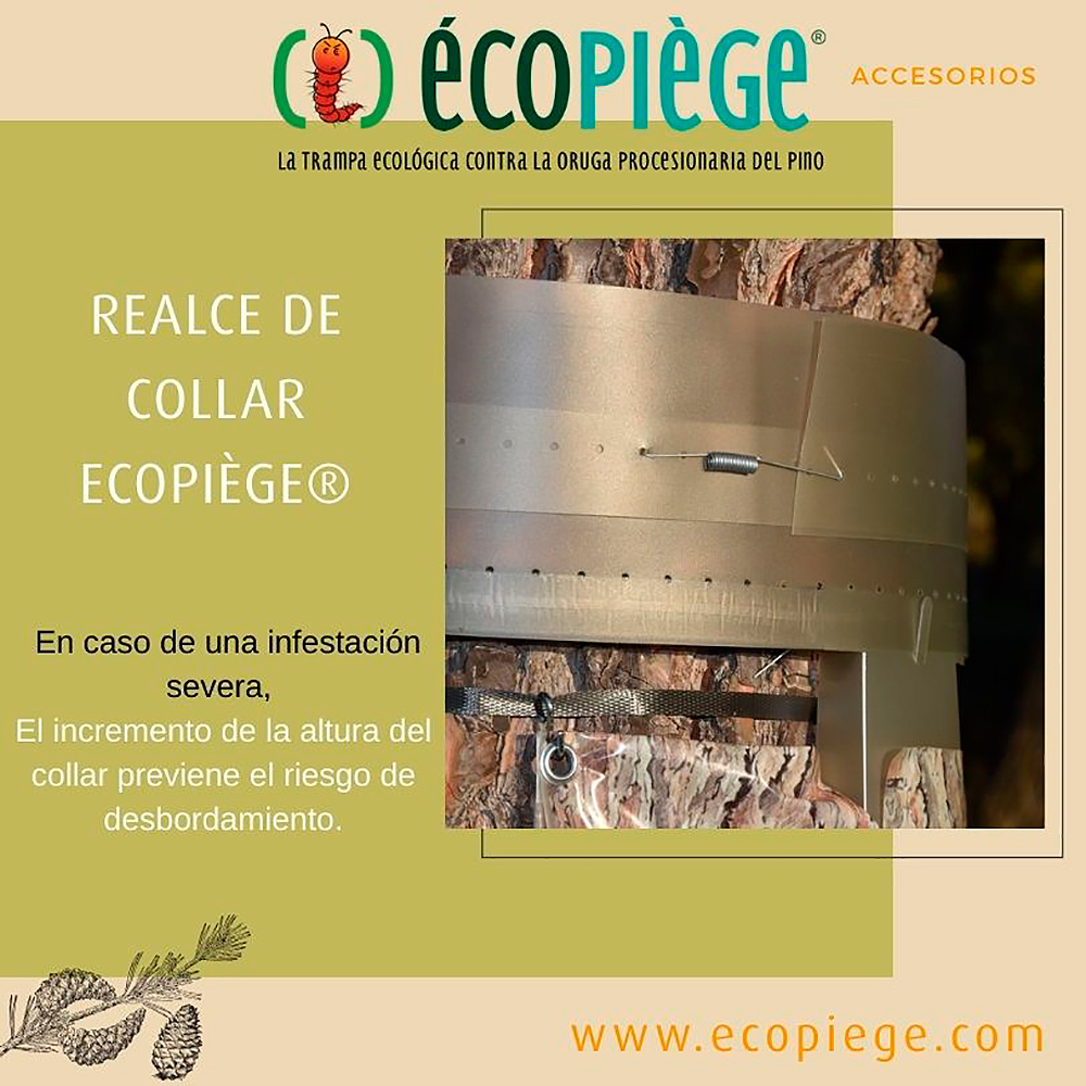 Realce de 8,3 m para la trampa Ecopiege para la captura de la oruga de la procesionaria 1