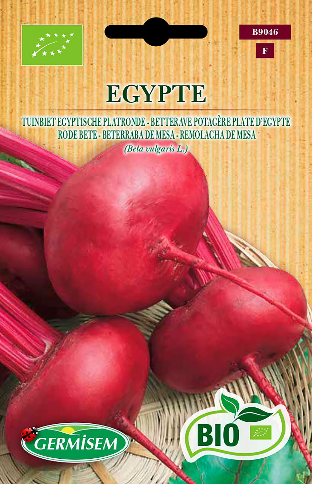 Semillas ecológicas de remolacha chata de Egipto