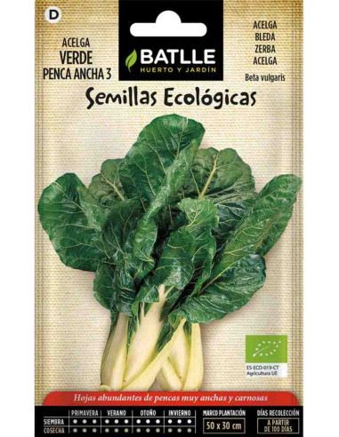 Semillas ecológicas de acelga verde penca ancha 100g