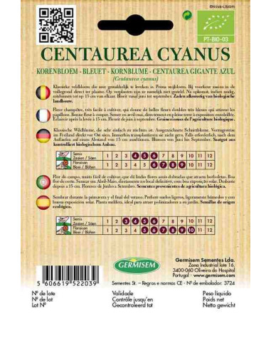 Semillas ecológicas de aciano (Centaurea cyanus) 2