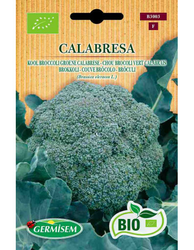 Semillas ecológicas de brócoli calabrese