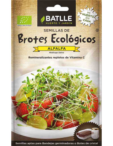 Semillas ecológicas de brotes de alfalfa