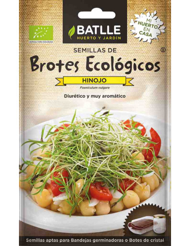 Semillas ecológicas de brotes de hinojo
