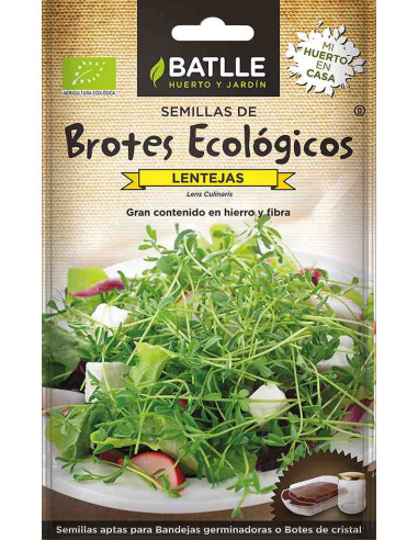 Semillas ecológicas de brotes de lenteja