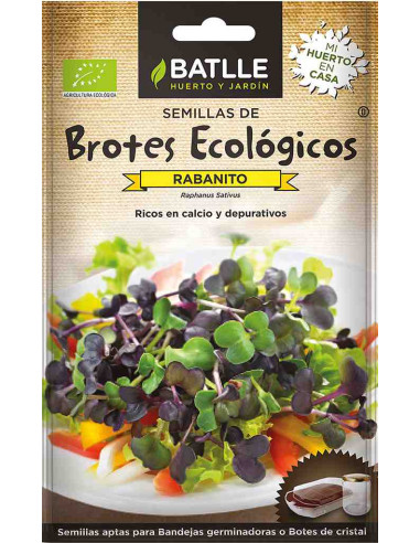Semillas ecológicas de brotes de rabanito