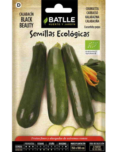 Semillas ecológicas de calabacín Belleza negra 100g