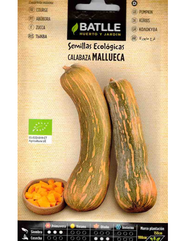 Semillas ecológicas de calabaza Mallueca
