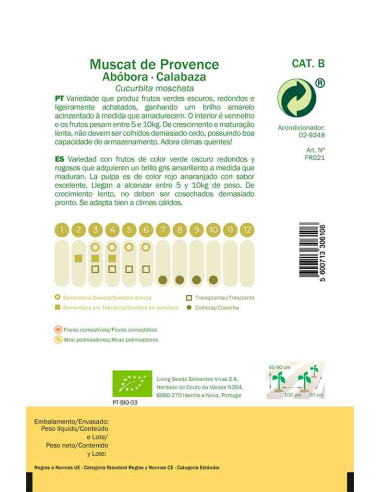 Semillas ecológicas de Calabaza Muscat de Provenza