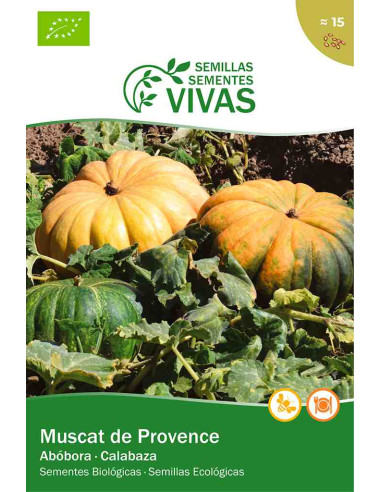 Semillas ecológicas de Calabaza Muscat de Provenza