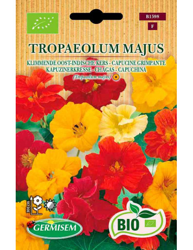 Semillas ecológicas de capuchina alta