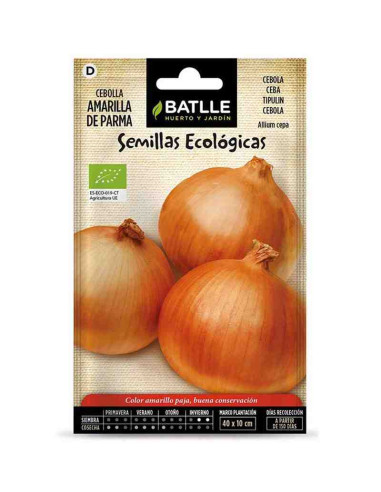 Semillas ecológicas de cebolla amarilla de Parma