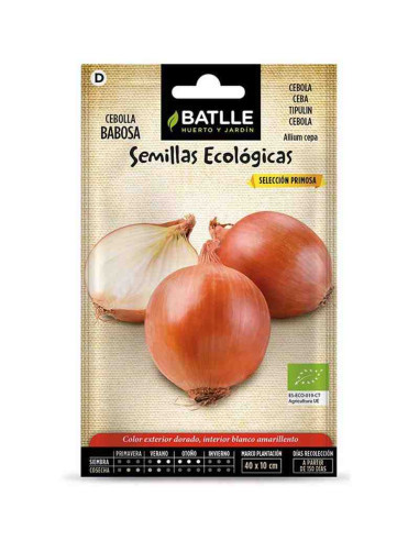 Semillas ecológicas de cebolla babosa