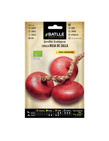 Semillas ecológicas de cebolla roja de Zalla