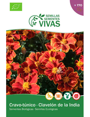 Semillas ecológicas de Tagetes (Clavelón de la India)
