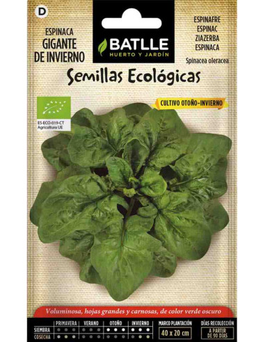 Semillas ecológicas de espinaca gigante de invierno 100g