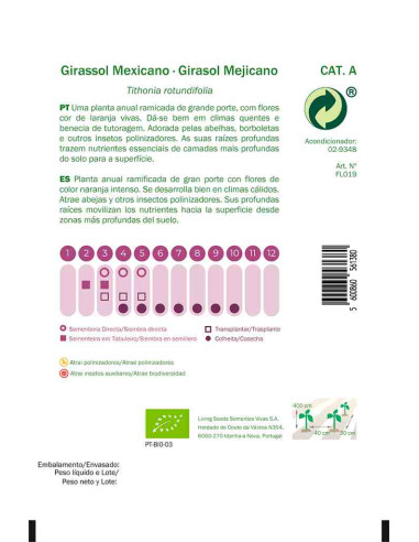 Semillas ecológicas de girasol mejicano