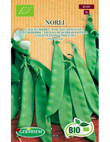 Semillas ecológicas de guisante cometodo de mata baja Norli