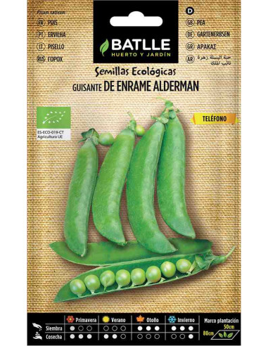 Semillas ecológicas de guisante de enrame Alderman
